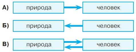 Окружающий мир 3 класс учебник Плешаков 1 часть страница 36, номер 8. Год 2023.
