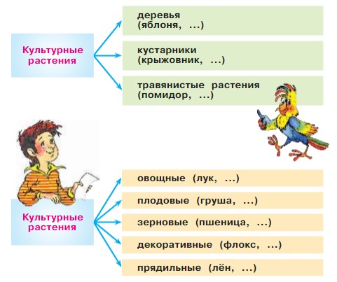 Окружающий мир 2 класс Плешаков 1 часть страница 75