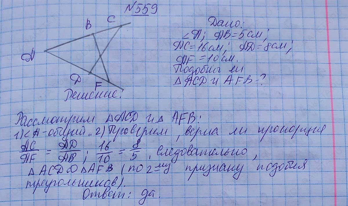 Ответ к учебнику по геометрии 7 класс Атанасян, Бутузов, Кадомцев, Позняк, Юдин номер 559