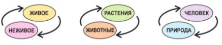 Окружающий мир 3 класс учебник Плешаков 1 часть страница 26, номер 1. Год 2023.
