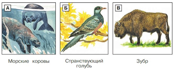Окружающий мир 3 класс учебник Плешаков 1 часть страница 36, номер 10. Год 2023.